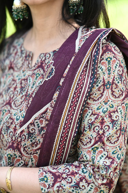 Chaandni Cotton Suit Set