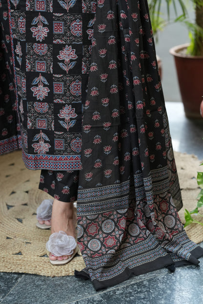 Vaani Black Cotton Suit Set